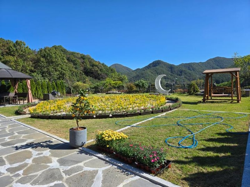 달빛소나타 대표 사진