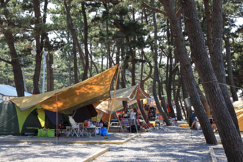 몽산포오토캠핑장 시설 사진 1