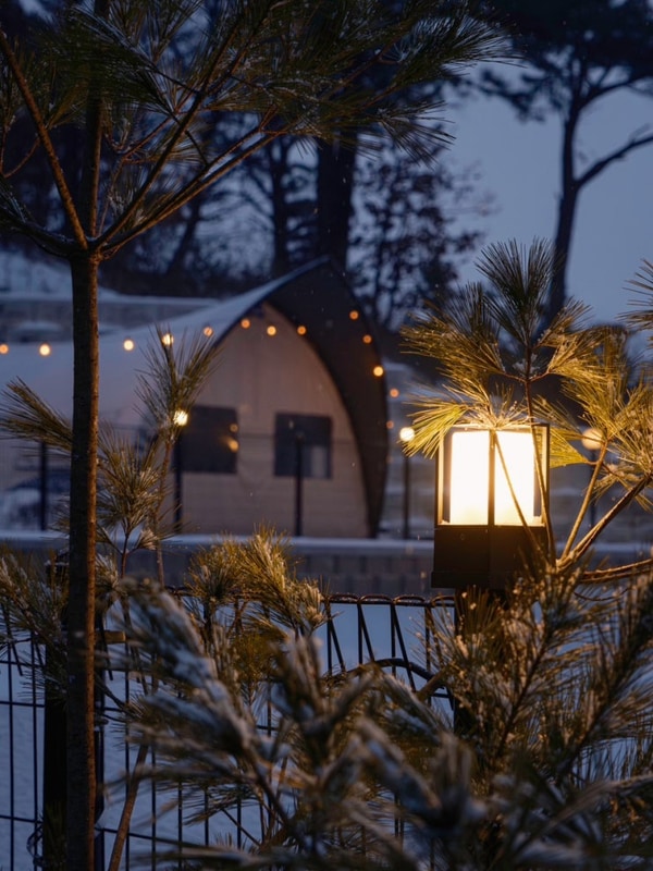 포천 애견 동반&불멍 가능한 쿠나 글램핑 내돈내산 후기