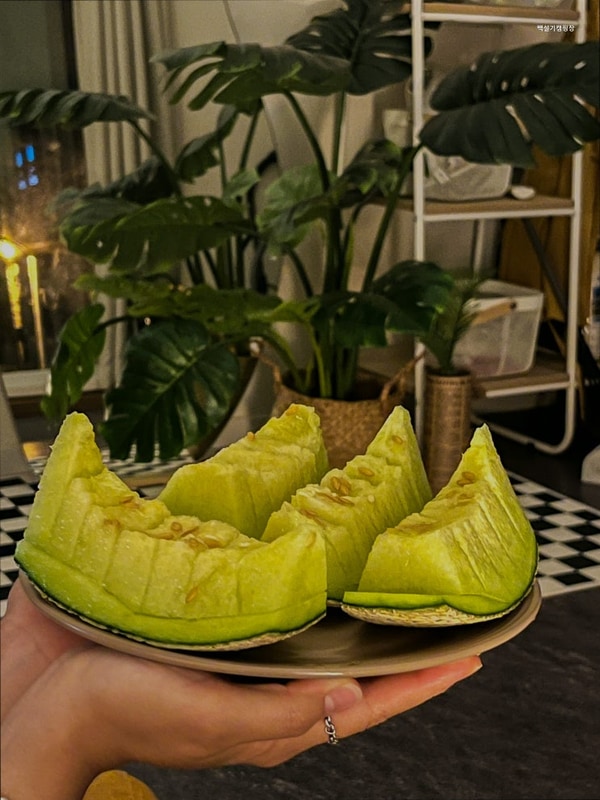 [포천 캠핑장] 백설기캠핑장 캠핑과 편안함의 조화