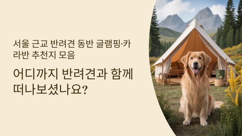 서울 근교 반려견 동반 글램핑·카라반 추천지 모음 (2025년...