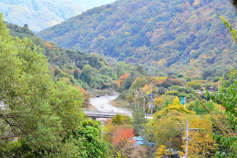 브라보캠핑장 시설 사진 1