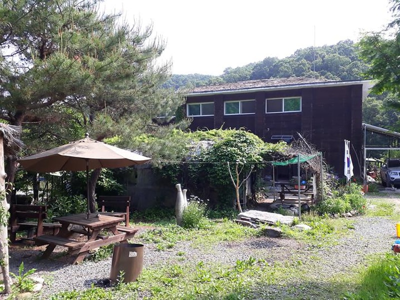 야생초마을아미골 대표 사진