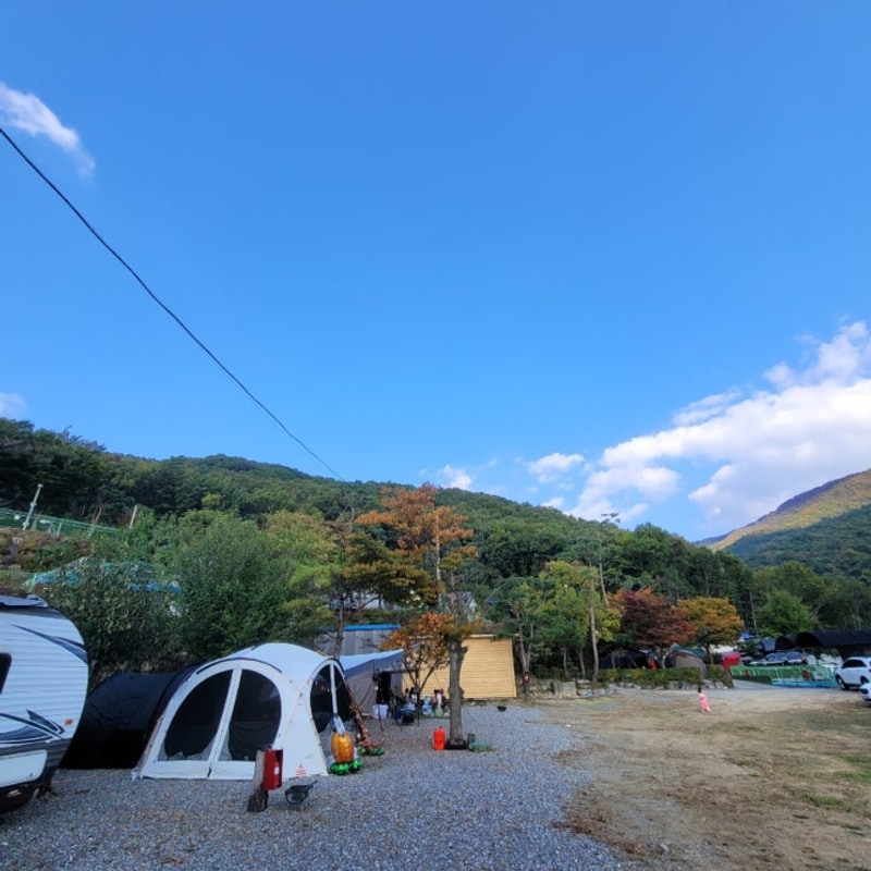 할로윈 캠핑장 용인 미르힐 캠핑장