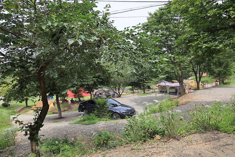 고래숲관광농원 시설 사진 8