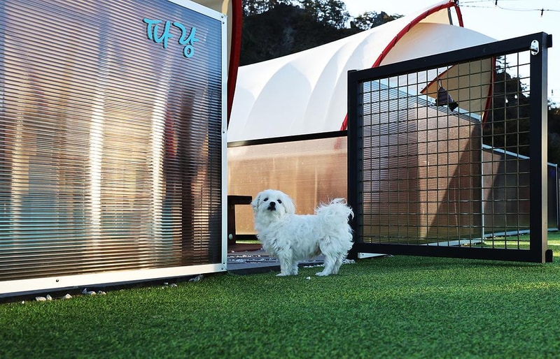 쏘쿨이네 글램핑 시설 사진 3