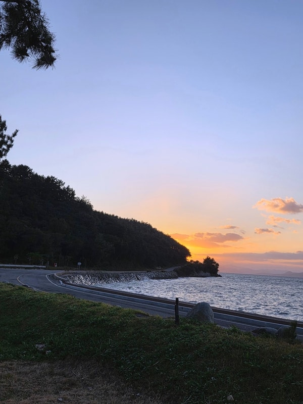 전남오토캠핑장 '고흥만수변노을공원캠핑장' 애견동반가능...