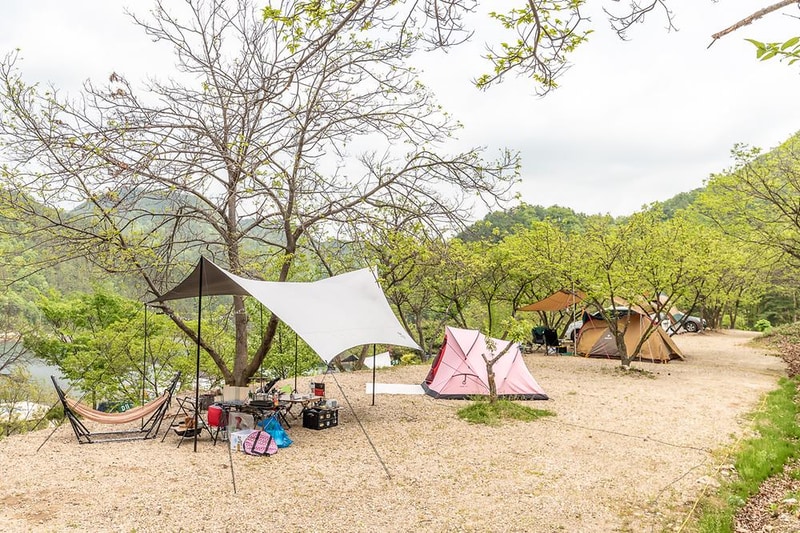 마로니에숲 캠핑장 시설 사진 3