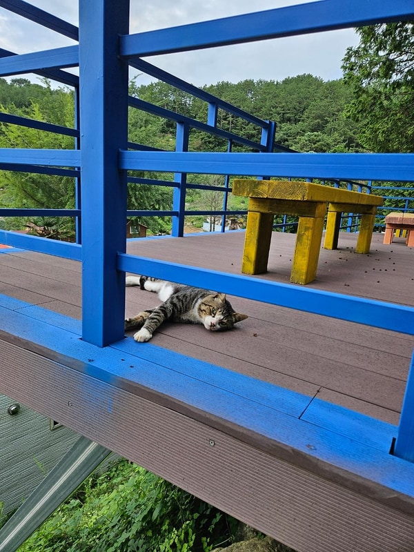 통영 편백숲길관광농원 캠핑장 시설 사진 18