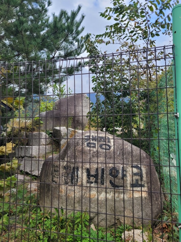 그늘 부자, 포천 몬테비얀코캠핑장