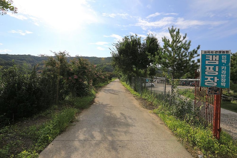 코끼리관광농원 시설 사진 1