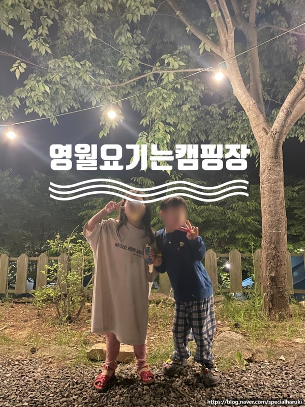 영월 요기는캠핑장 타프존 앞마당2 계곡 키즈캠핑장 끝판왕