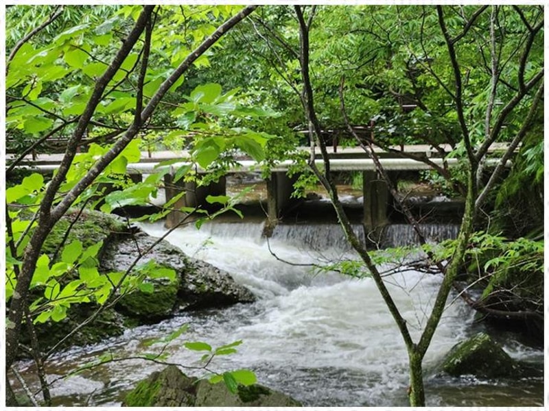 장성캠핑장 자연과 하나가 되는 힐링, 정담은 캠핑 이야기