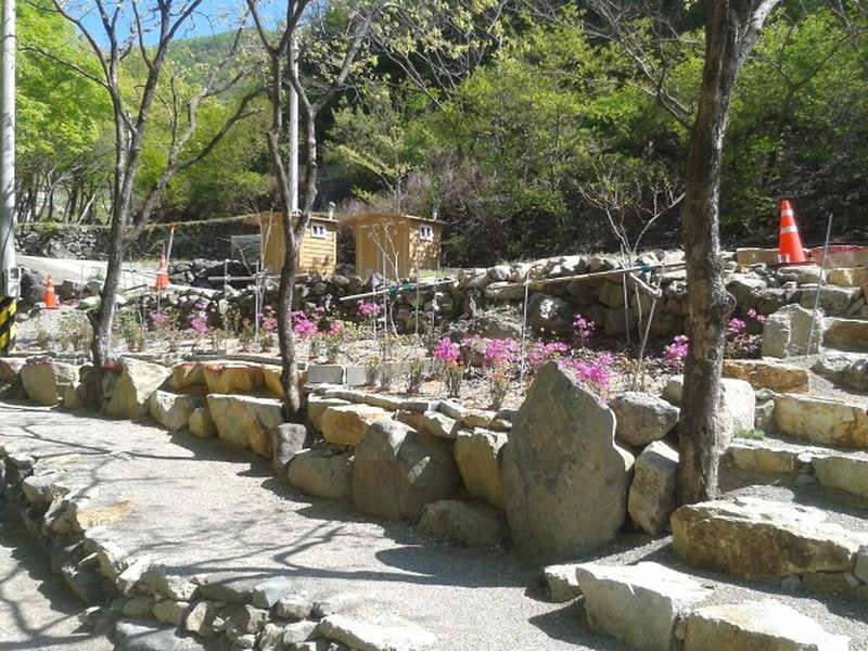 빛 생명 숲 사지목 시설 사진 10