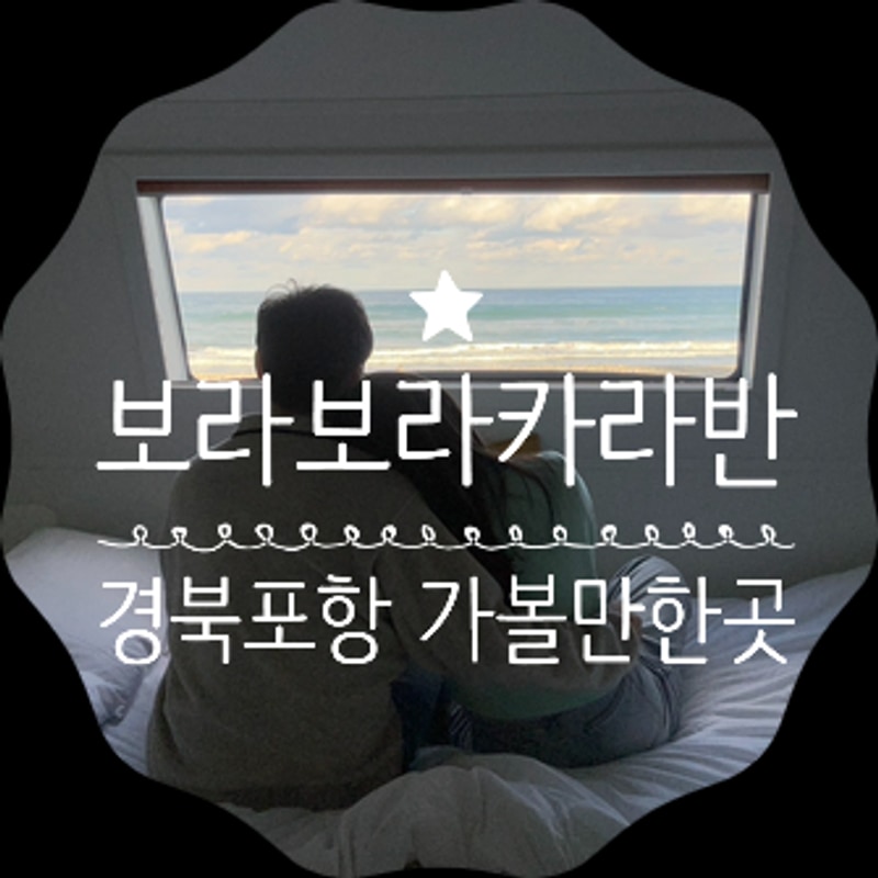 경북 포항 오션뷰 보라보라카라반 캠핑장 오션카라반3