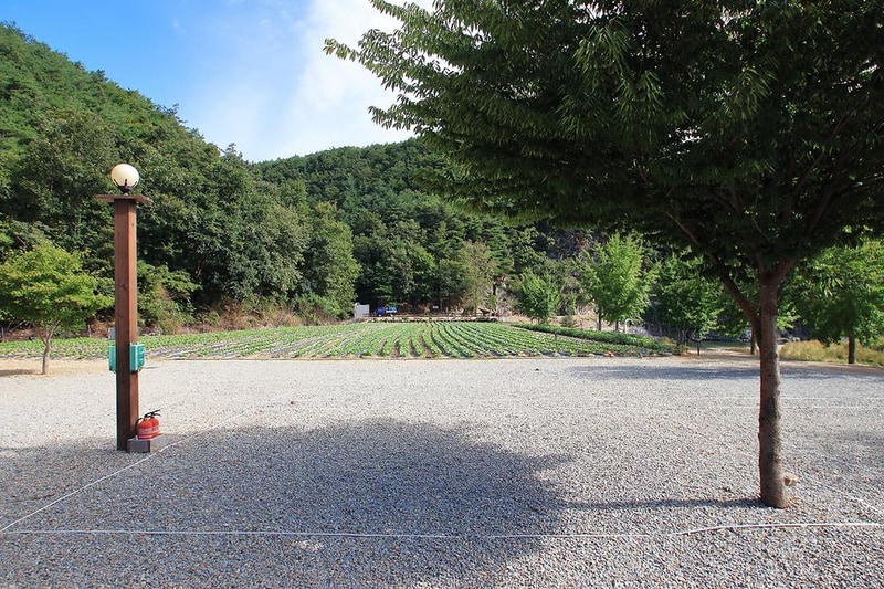 해바라기 캠핑장 시설 사진 3