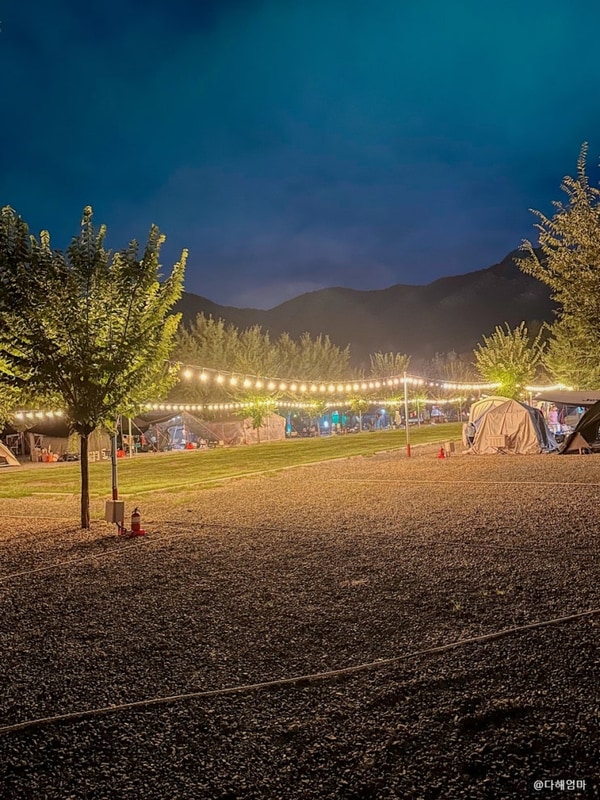 부산 근교 밀양 도깨비방망이 키즈 캠핑장 명당자리 추천 방문...