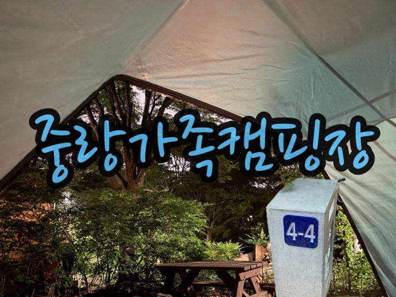 서울 중랑캠핑숲 중랑가족캠핑장 당일캠핑 4-4 비와서 철수