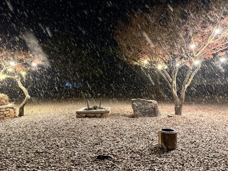 완주 캠핑장추천 솔밭캠핑장 4년차 캠린이 텐트추천 코베아...