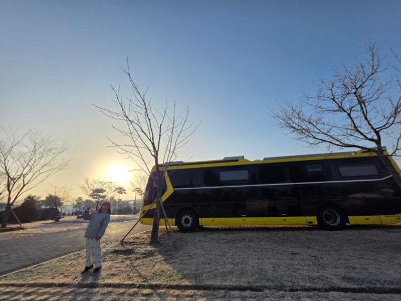 충주 목계 솔밭 캠핑장