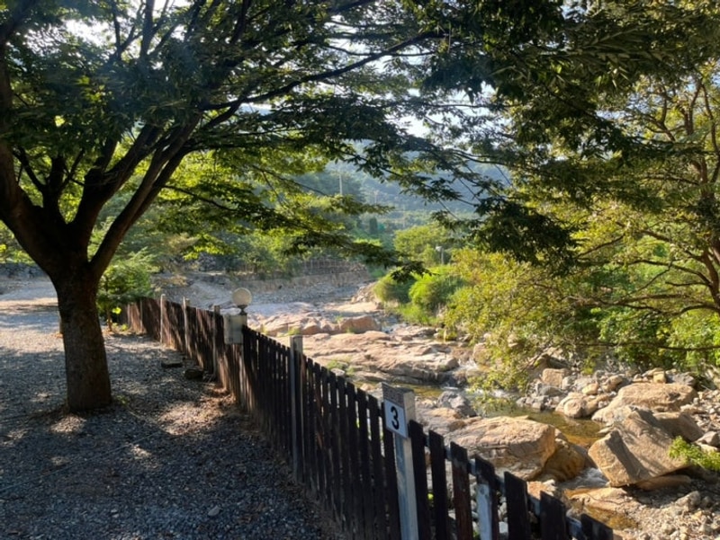 경북 청도, 계곡 '청도그린나래오토캠핑장' 수영장 동물농장...