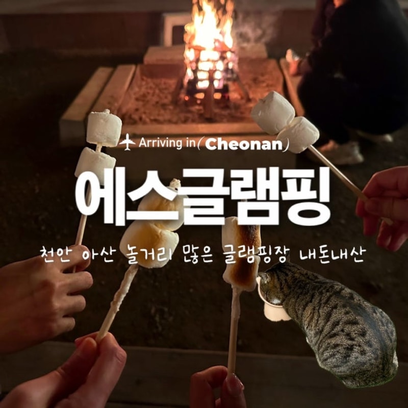 천안 아산 근처 가성비 좋은... 후기, 에스글램핑 (탁구...