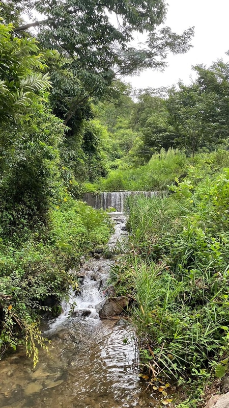 반딧불 캠핑장 시설 사진 11