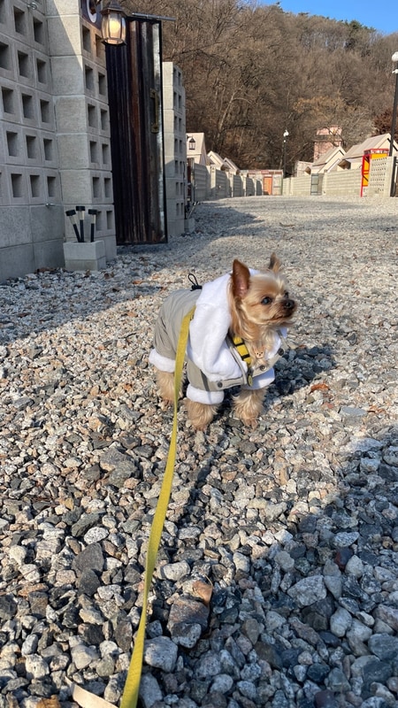 [양주 놀거리 추천] 양주 캠프랩 당일치기바베큐장