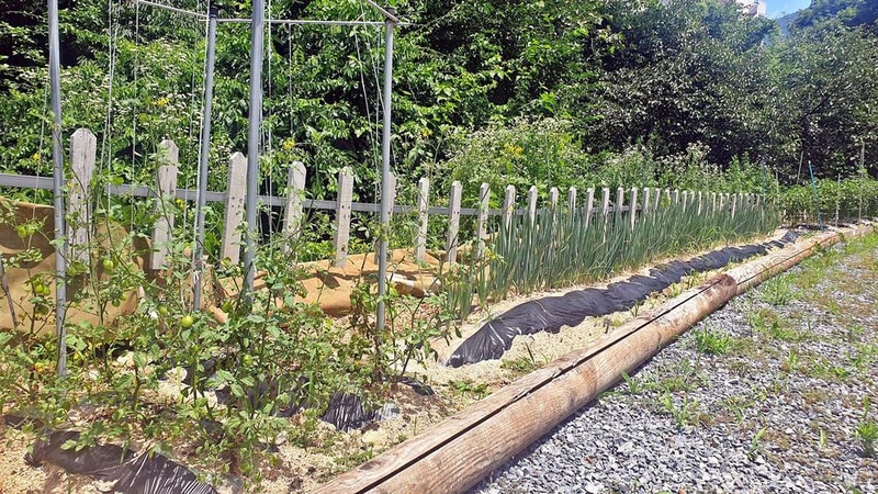 SOL Camping 시설 사진 20