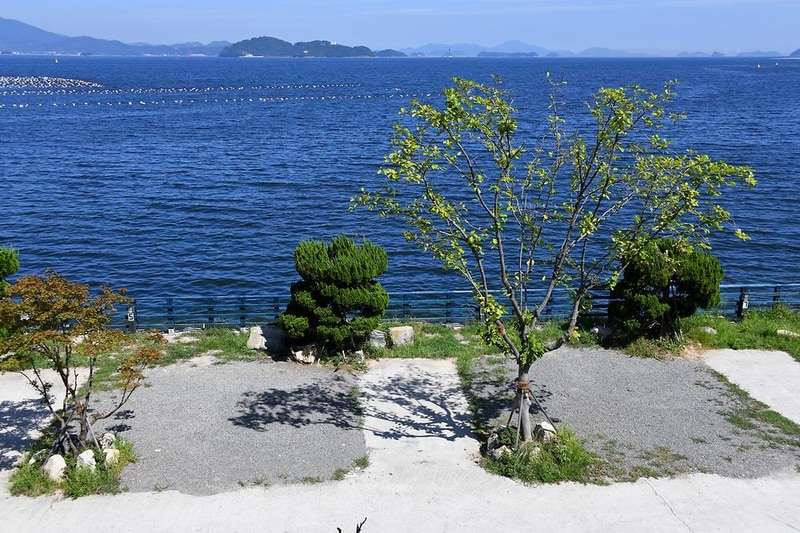 타이거스피드 안녕오토캠핑장 시설 사진 9