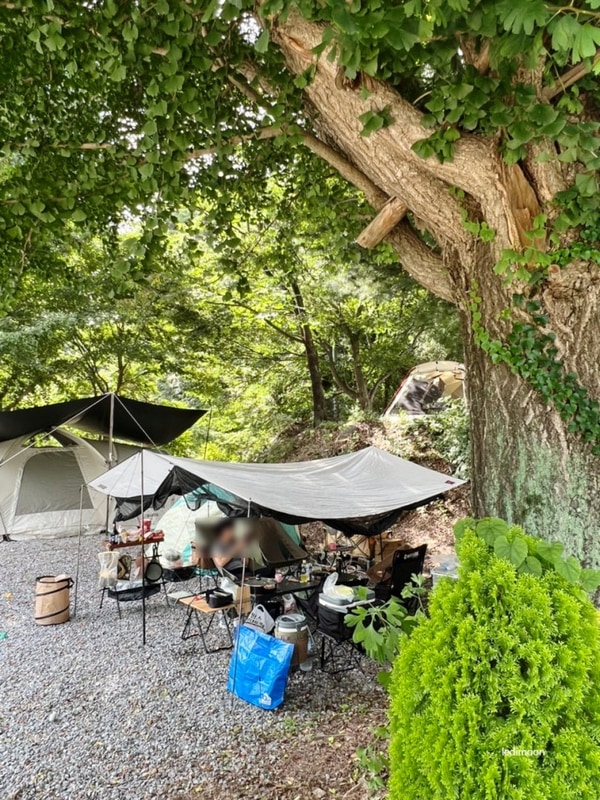 나무와 그늘, 깨긋한 시설로 된 폐교활용 '공주 연종캠핑장'