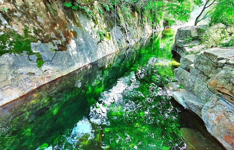 자작나무뜰 오토캠핑장 시설 사진 11