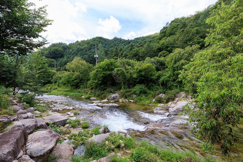 강가민박캠핑장 시설 사진 6