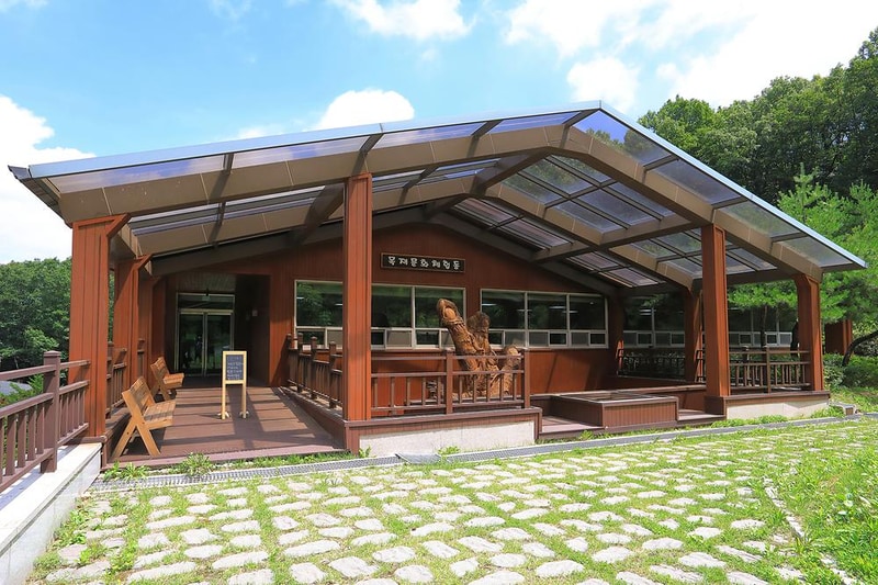 행복숲 체험원 시설 사진 2