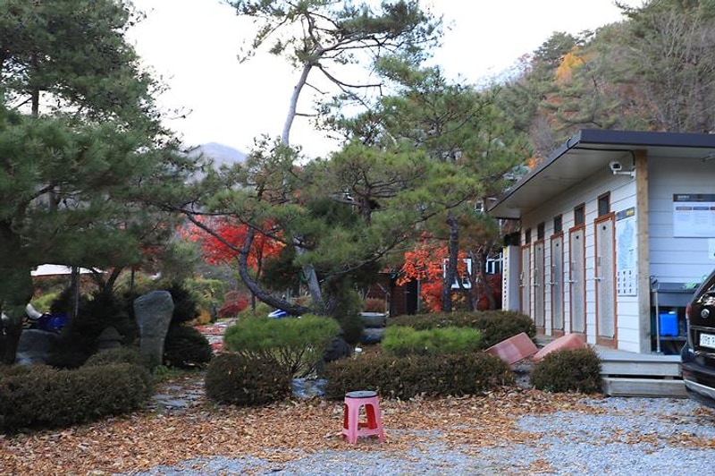 펜션벨뷰캠핑장 대표 사진