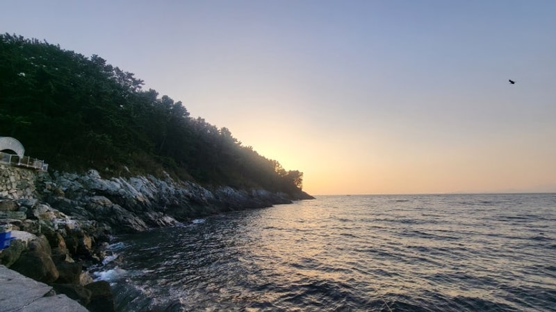 경남 통영 욕지도 낚시여행 청보리오토캠핑장 방갈로...