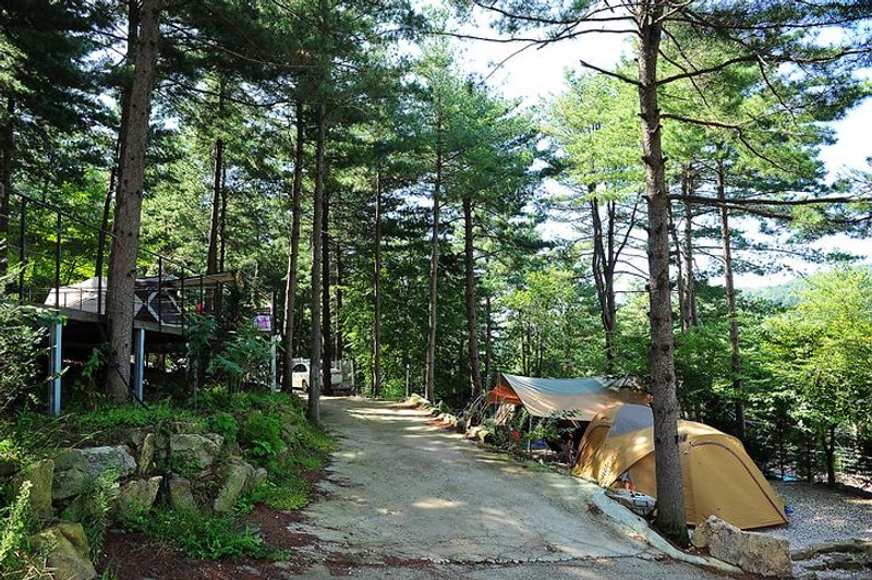 나무새 관광농원 대표 사진