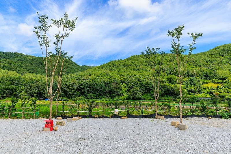 양지뜰캠핑장 시설 사진 12