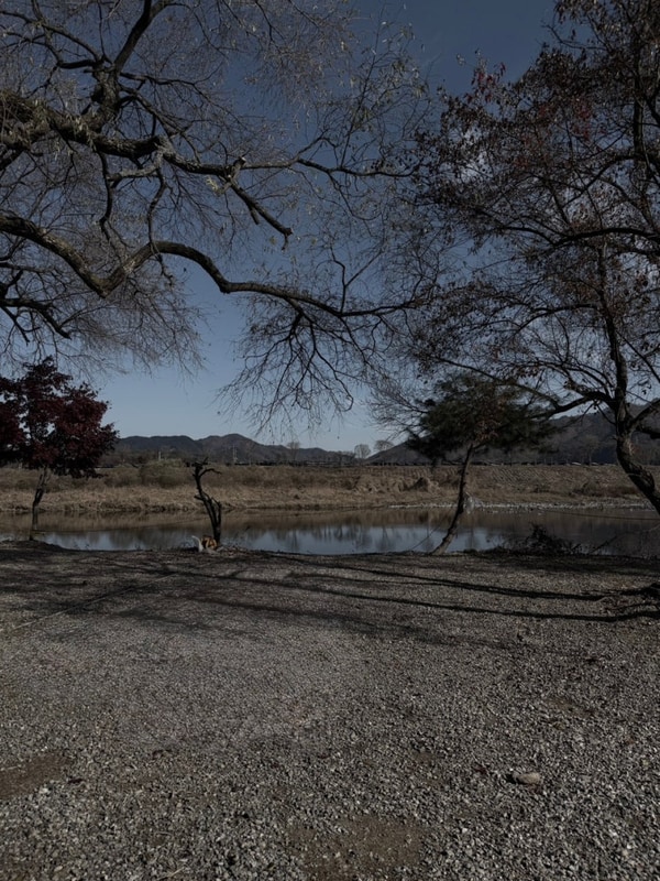 홍천, 용가리쌤 캠핑장