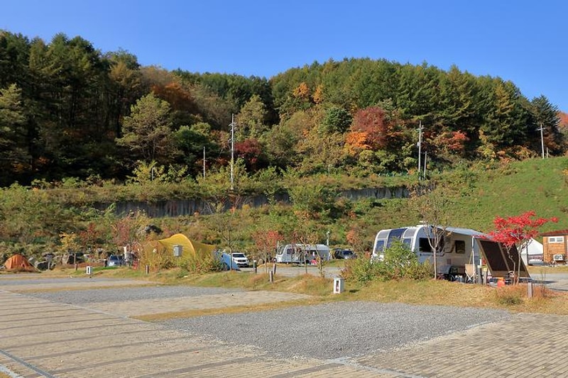 (주)하이원추추파크 대표 사진