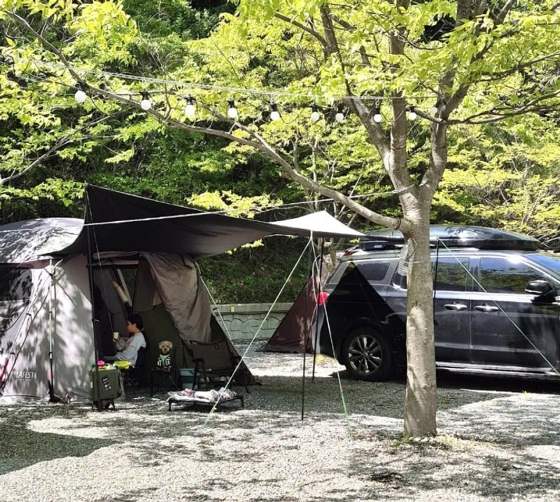 강원도 홍천 애견동반 고길동캠핑장 C구역