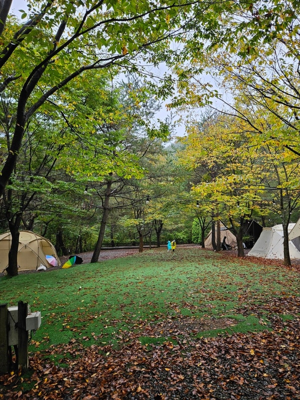 [영월] 영월캠프 캠핑장, 데크A3 방문후기!