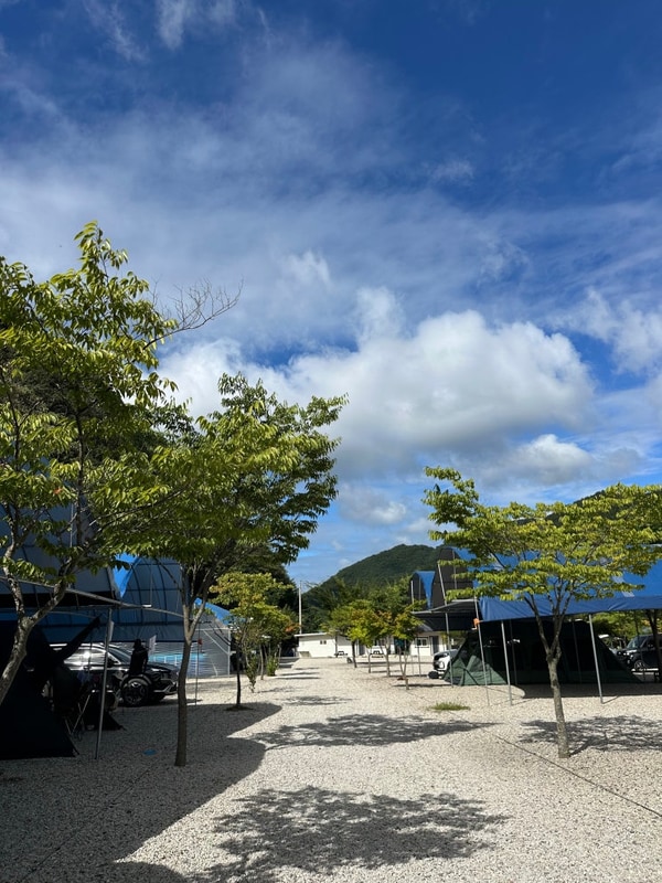 철원캠핑장 밤개울캠핑장 생태체험 계곡까지