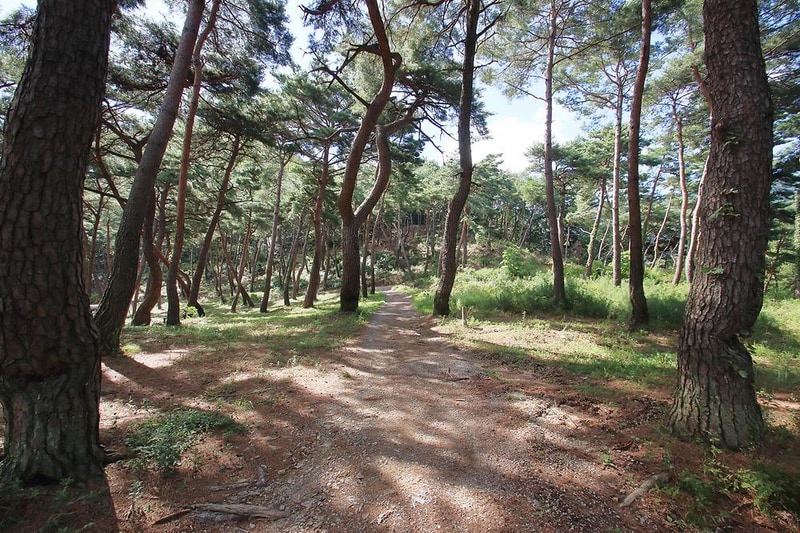 문경레저투어 캠핑장 시설 사진 14