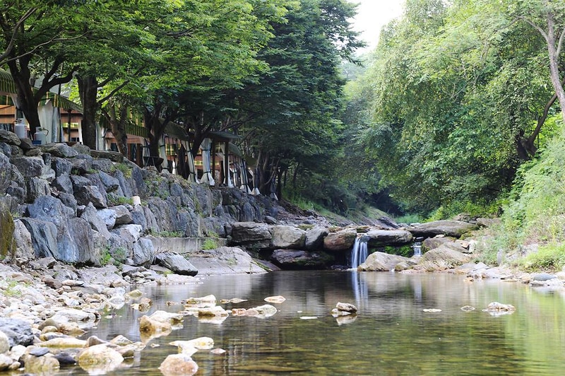 예그리나숲 시설 사진 3