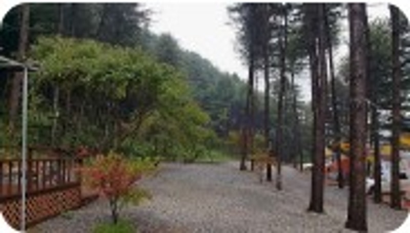 캠프수풀이 가평 야영장 가족캠핑