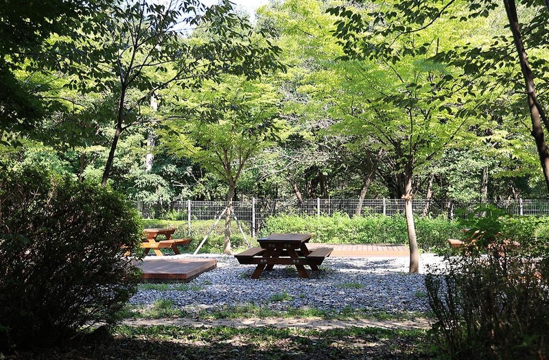 관악산 계곡 캠핑장 시설 사진 2