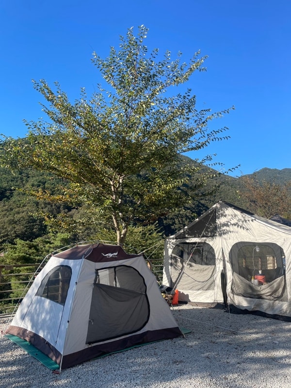 [밀양캠핑장]은하수 리조트&펜션 (C-8, C-9 사이트)