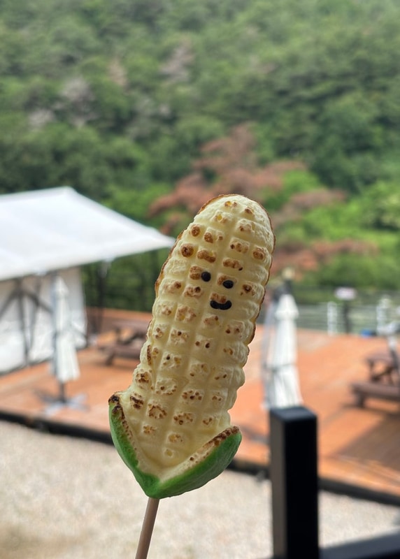 친구들이랑 글램핑을! (ft. 양산 캠프라임)