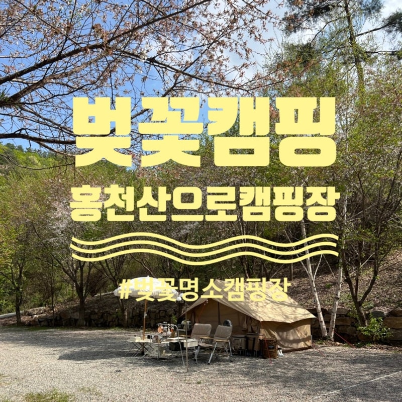벚꽃 명소 캠핑장 홍천 산으로 캠핑장 예약 방법 및 명당 추천